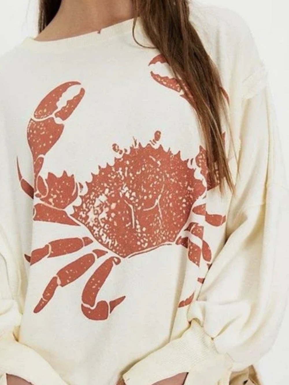 Free People Graphic Camden PulloverSweatshirt We The Free Slouchy Lobster Combo - Picture 3 of 4